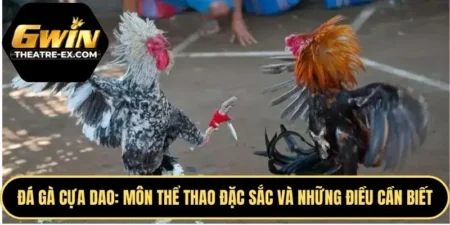 Đá gà cựa dao